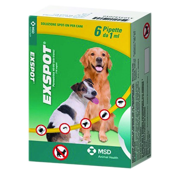 Exspot - 6 pipette da 2 ml