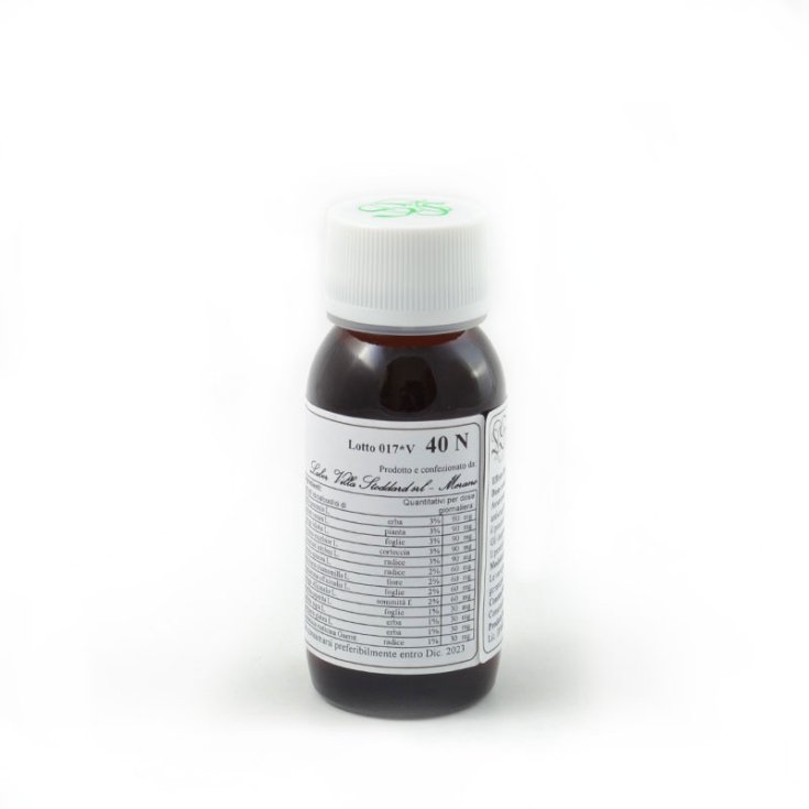 40 N Bellis Perennis Compositum Labor Villa Stoddard 60ml