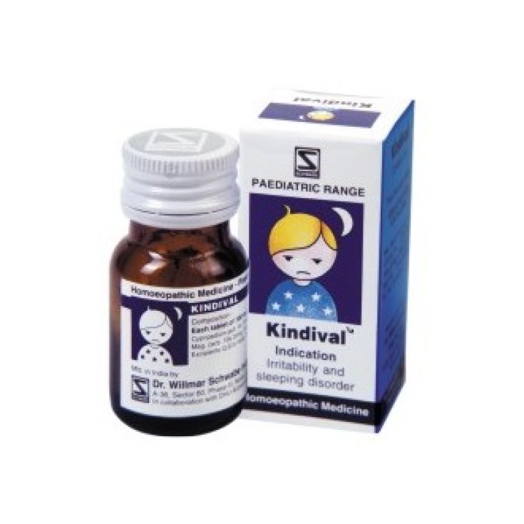 Loacker Remedia Kindival 10g