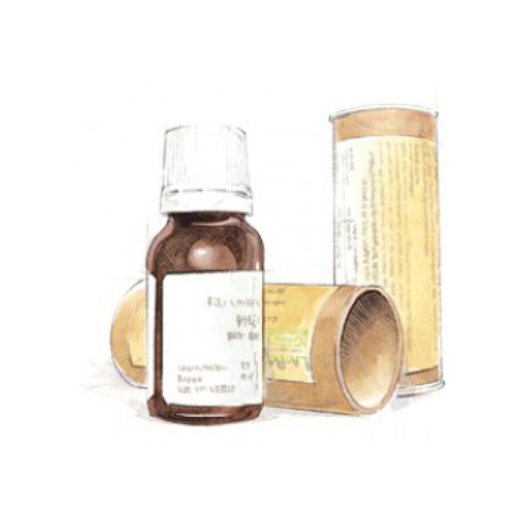 Cemon Vital Fee Gocce 15ml
