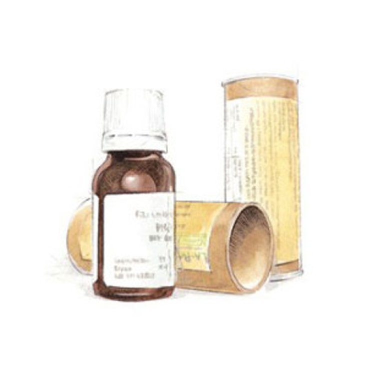 Cemon Mirtillo Fee 15ml