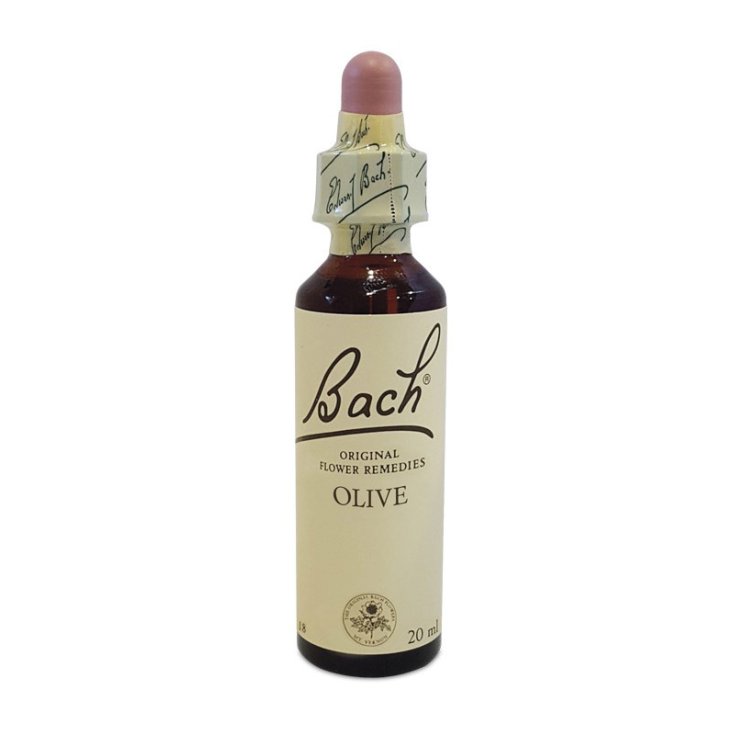 Olive Bach Center Essenza 20ml