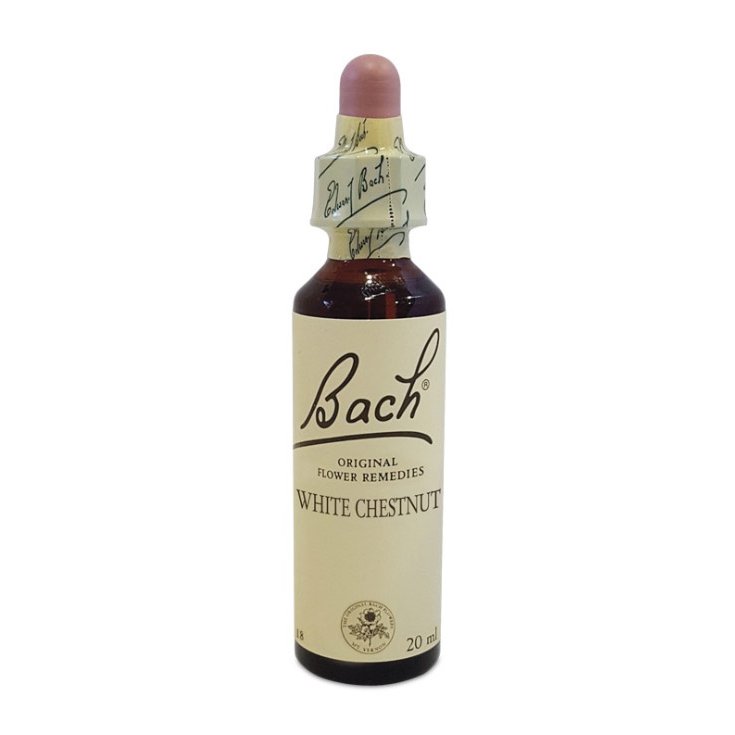 White Chestnut Flower Remedies Bach Center  20ml