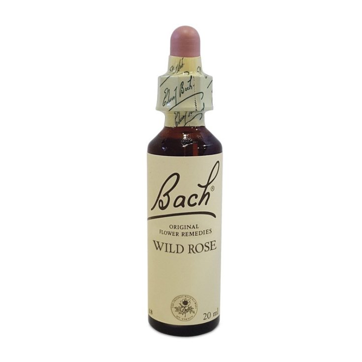 Wild Rose Flower Remedies Bach Center 20ml