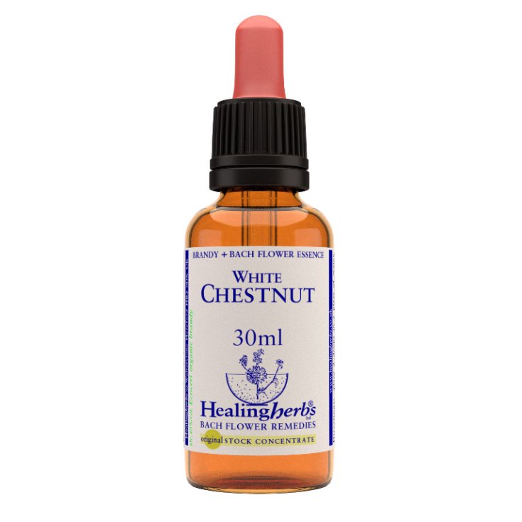 White Chestnut Bach Flower Remedy Heling Herbs 30ml