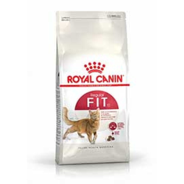 Fit 32 - 4KG