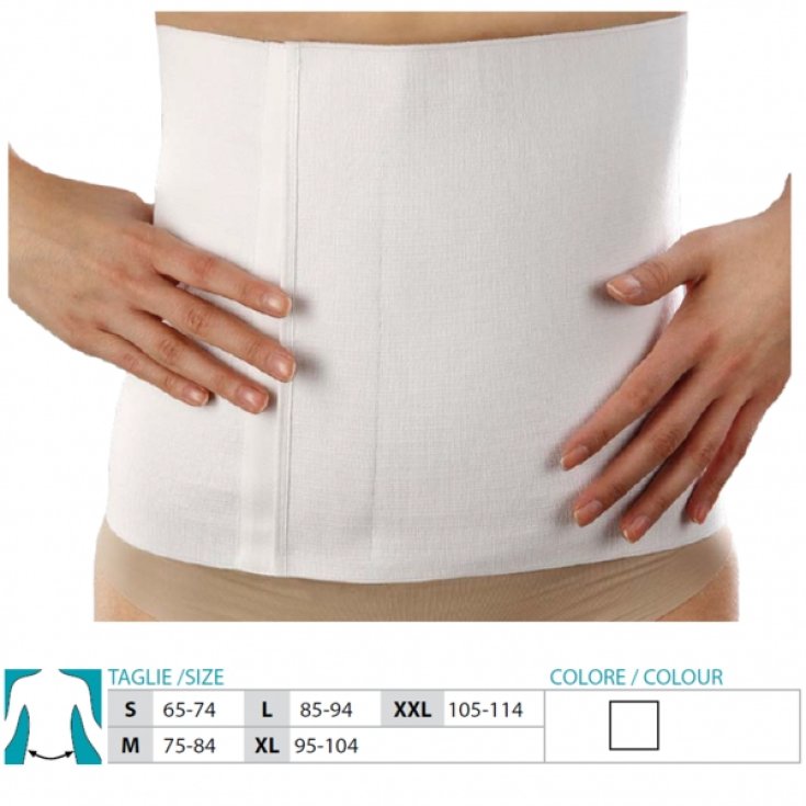 Safte Orione 3333 Fascia H27cm Taglia XXL