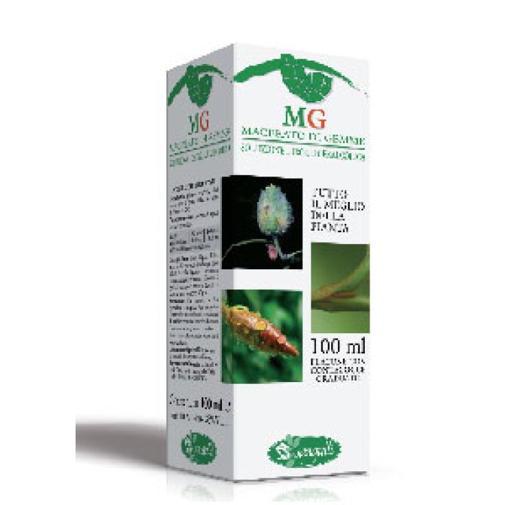 Sangalli Lampone Gemmoderivato Integratore Alimentare 100ml