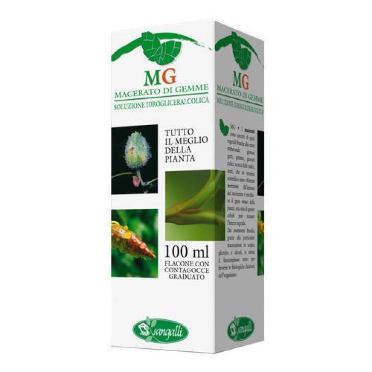 Sangalli Olivo Gemmoderivato 100ml