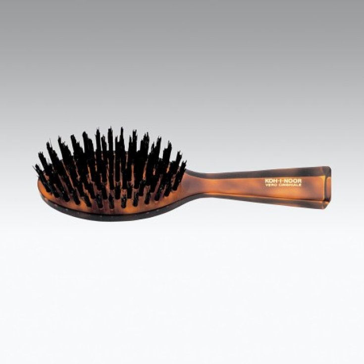 Koh-I-Noor Spazzola Ovale Piccola Tartaruga In Setola Nera Di Cinghiale COD 203