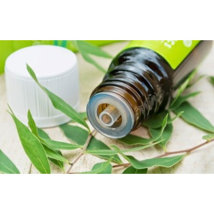 Emerald Line Melaleuca Olio Essenziale 10ml