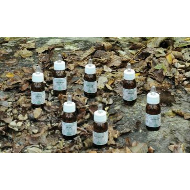Alchemica Valgelata Linea K Ka2 Olio Massaggio 30ml