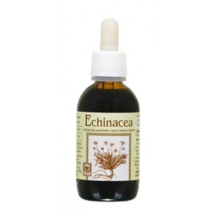 ECOL Echinacea Estratto Analcolico 50ml