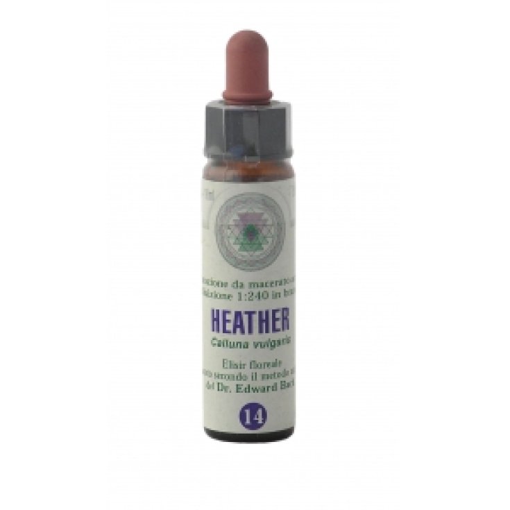 Princeps Fiori Di Bach 14 Heather Gocce 10ml