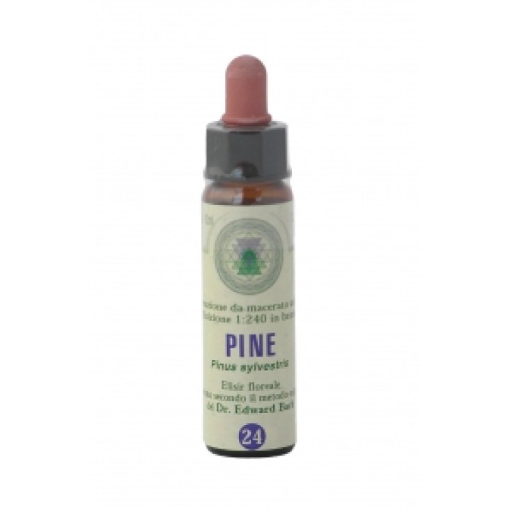 Princeps Fiori Di Bach 24 Pine Gocce 10ml
