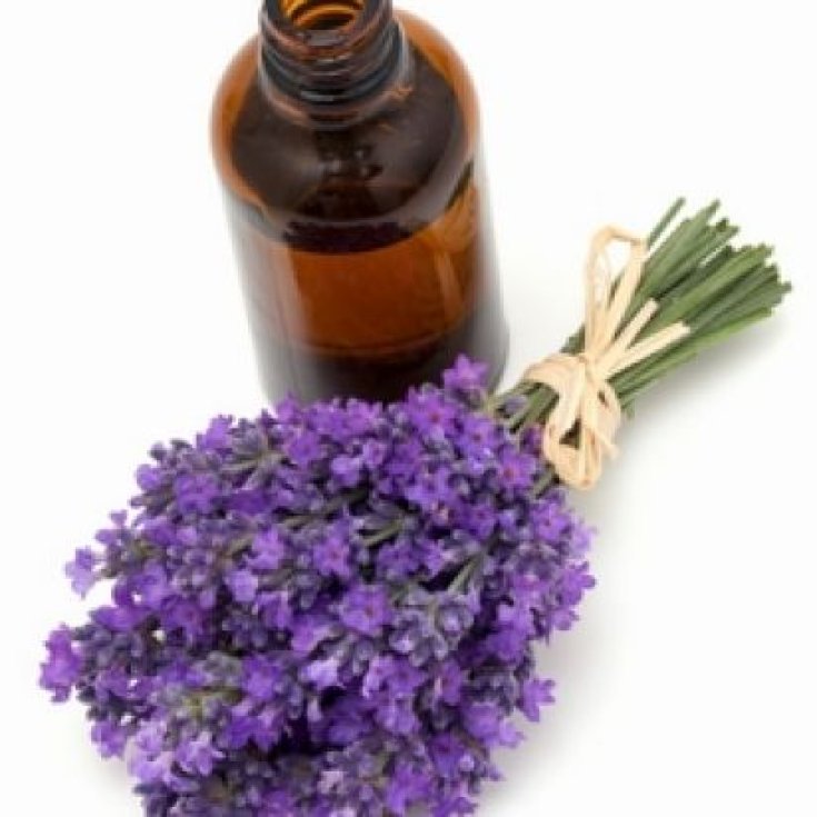 KosLavanda Olio Essenziale 20ml