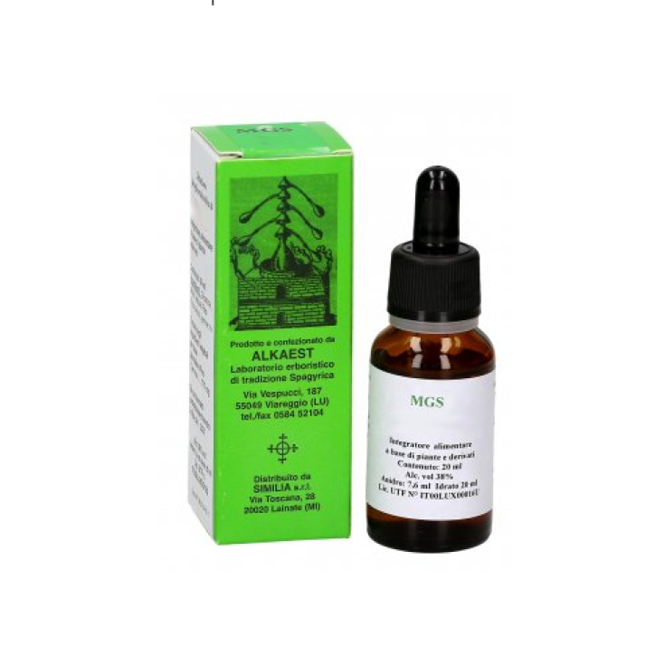 Alkaest Mgs13 Pino Macerato Glicerico Spagirico 20ml