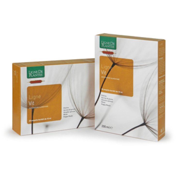Ligne Des Plantes Ligne Vit Integratore Alimentare 20 Ampolle Bevibili Da 10ml