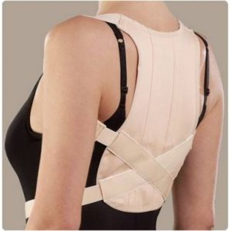 Ro+ten Naturup Corsetto Dorsale Raddrizzaspalle PR1-1111  Taglia XL