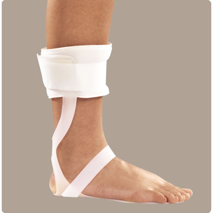 Ro+ten Afo Tutore Per Piede Ciondolante PR4-9050 Piede Destro Taglia L (41-44)