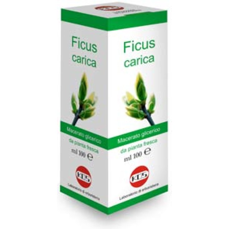 Kos Ficus Carica Gocce Mg Integratore Alimentare 100ml