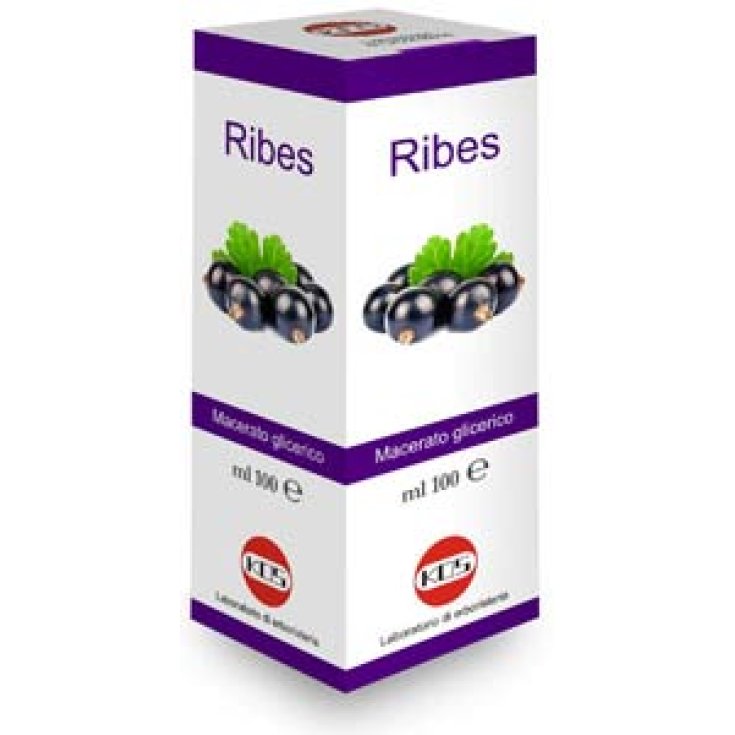 Kos Ribes Nigrum Macerato Glicerico Gocce Integratore Alimentare 100ml