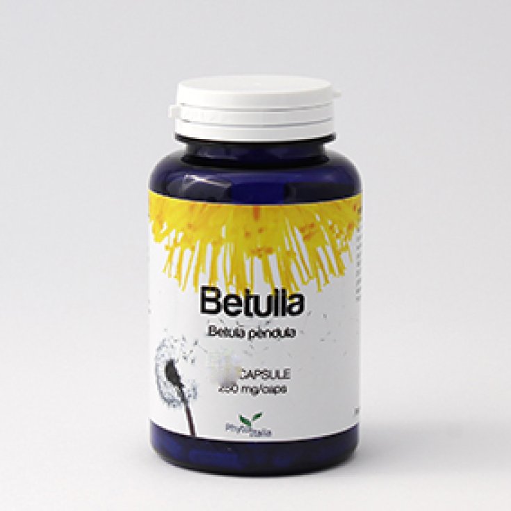 Phytoitalia Betulla Integratore Alimentare 60 Capsule