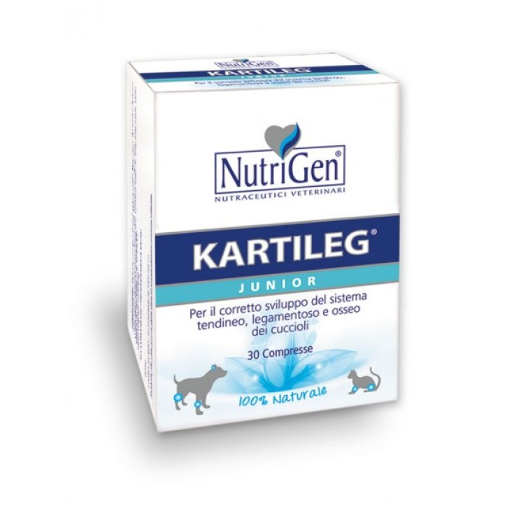 Kartileg Junior - 30X1GR