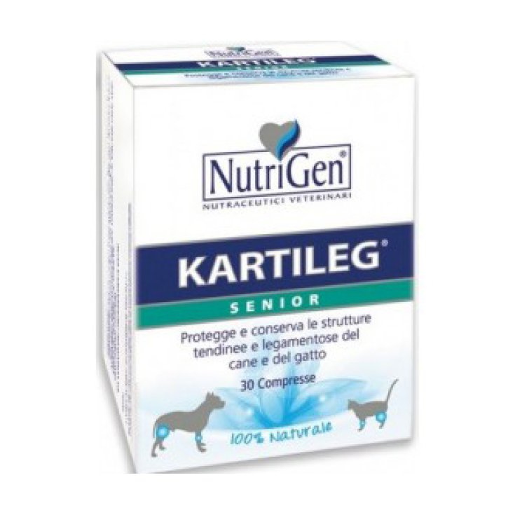 Kartileg Senior - 30X1GR
