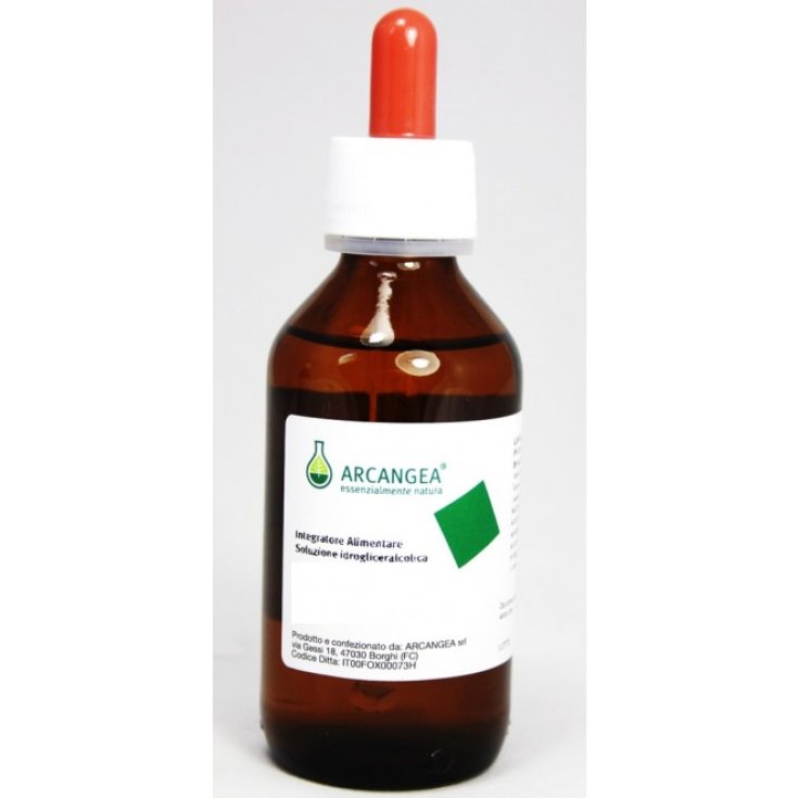 Arcangea Ficus Carica Integratore Alimentare 100ml