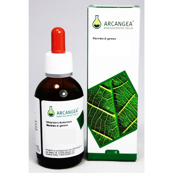 Arcangea Linfa Betulla Integratore Alimentare 100ml