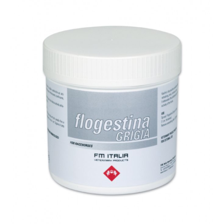 FM Italia Flogestina Grigia Pasta Minerale Per Cavalli 4kg