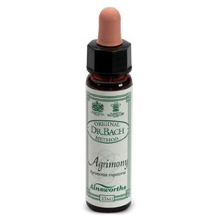 Santiveri Ainsworths Agrimony Integratore Alimentare 10ml