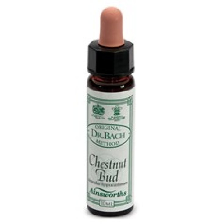 Santiveri Ainsworths Chestnut Bud Integratore Alimentare 10ml