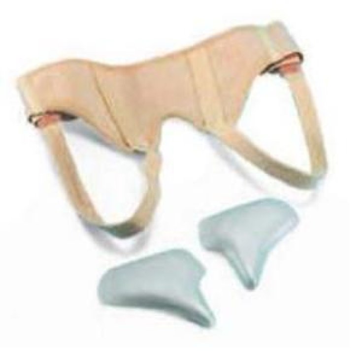 Safety Elite Cinto Erniario 95cm