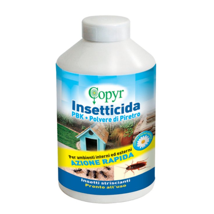 Copyr PBK Polvere Di Piretro Insetticida 250g