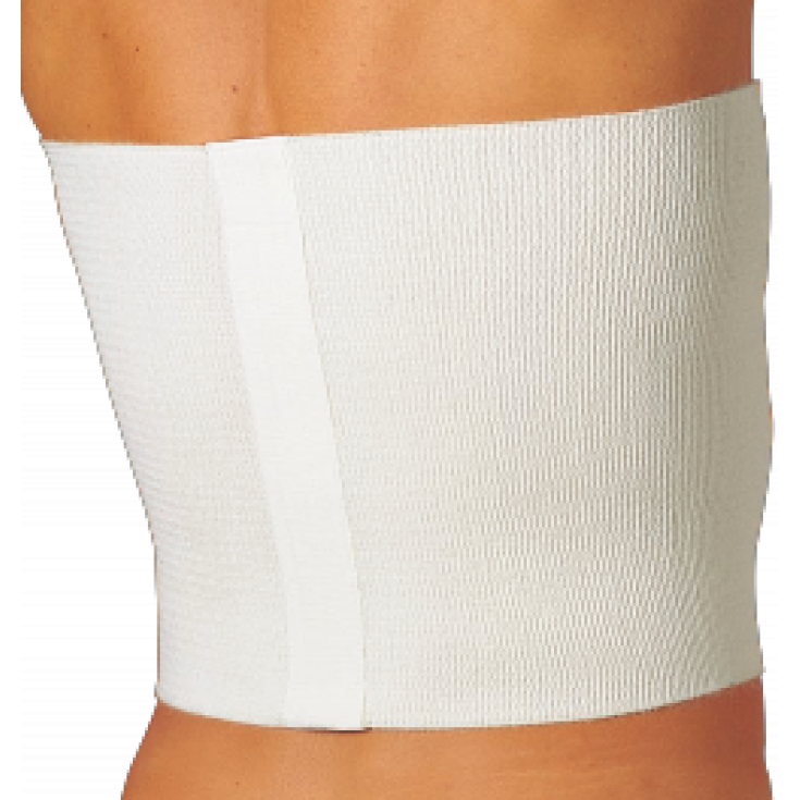 Gibaud Linea Termoterapica Cintura Piuma 28cm Misura 1