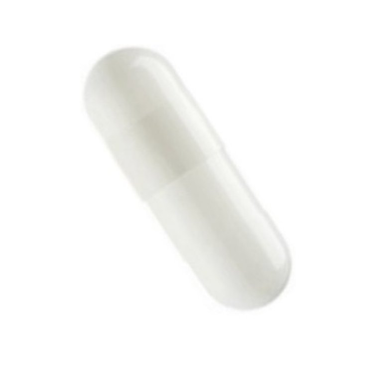 Capsula 00 Bianca 5000 Pezzi