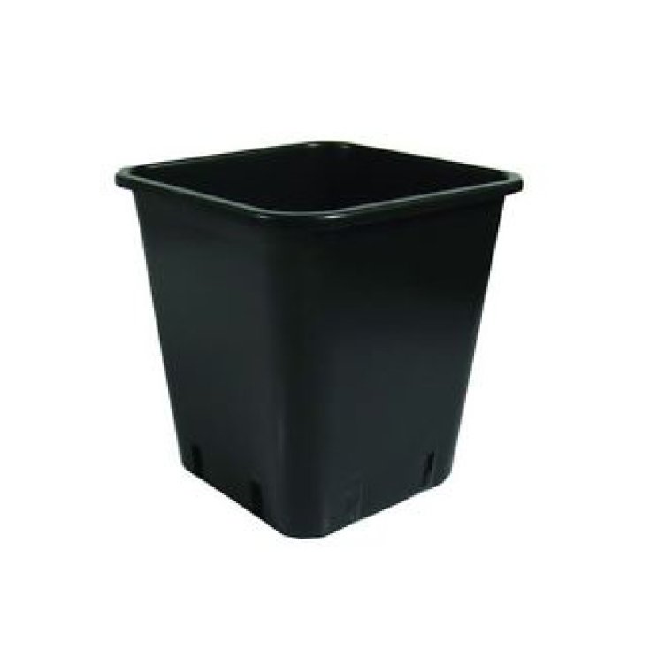 Wepa Vaso In Plastica Scura Quadrato 300ml 10 Pezzi