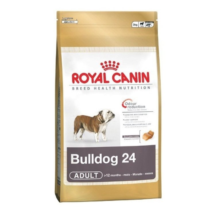 Bulldog Inglese Adult - 3KG