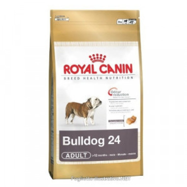 Royal Canin Breed Hn Bulldog 24 Adulto 12kg