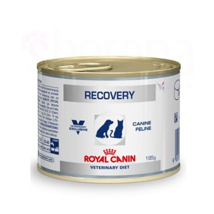 Veterinary Diet Recovery - 195 gr