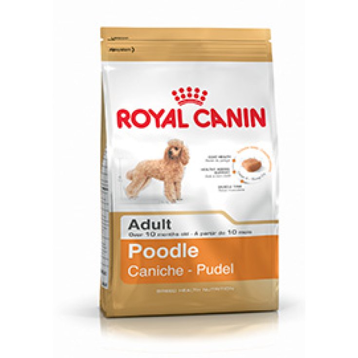 Poodle Adult - 1,50KG