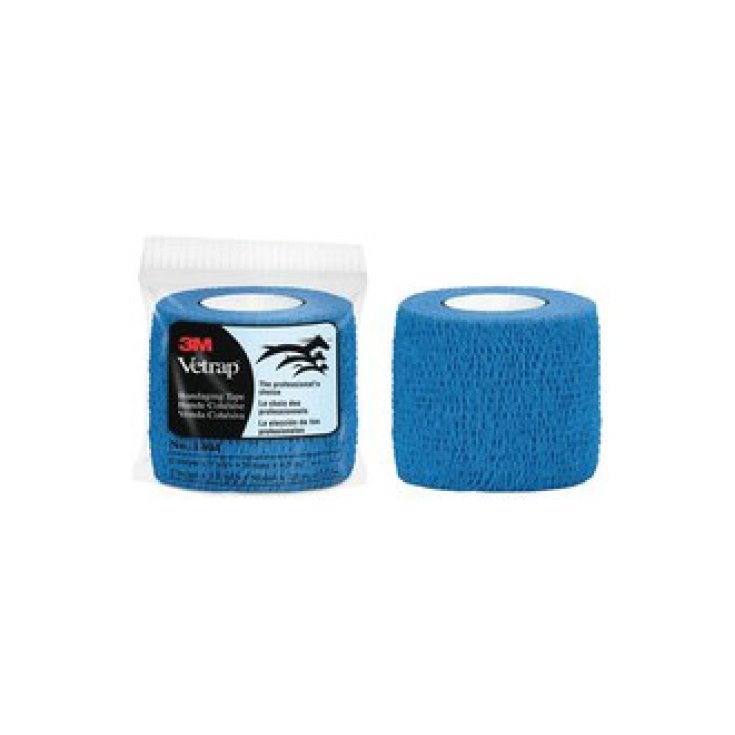 Equality Vetrap Fascetta Elastica Blu Misura 5cm