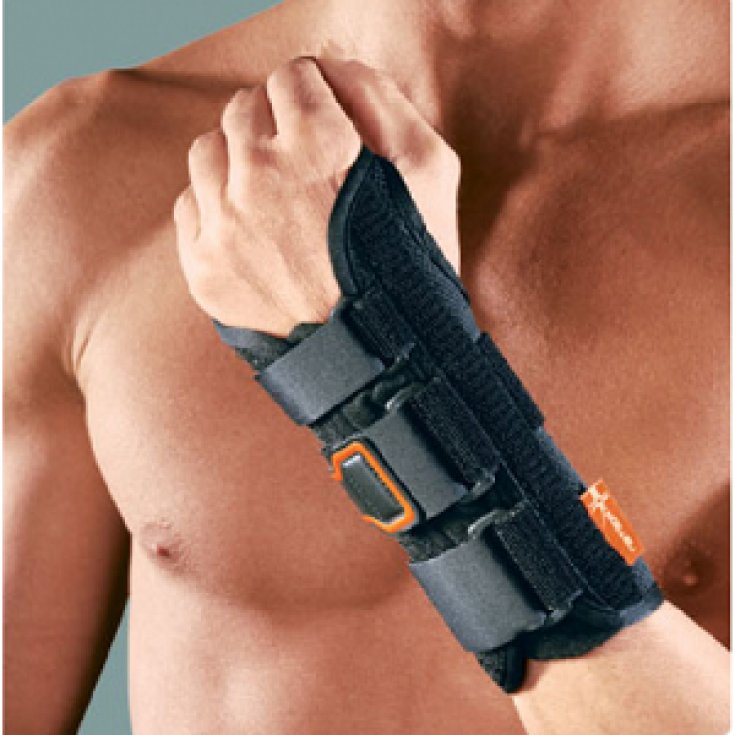 Ro+ten Polfit19 Polsiera Semplice Sinistra PR2-P1119 SX Taglia L
