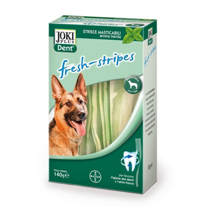 Joki Plus Dent Cane - 140GR - Taglia Large
