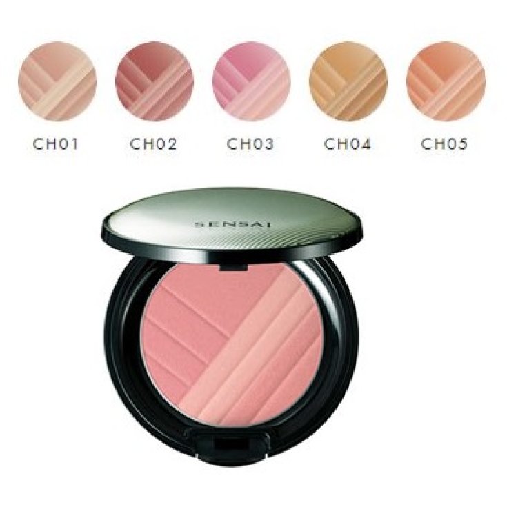 Kanebo Cheek Blush Ch01 4g