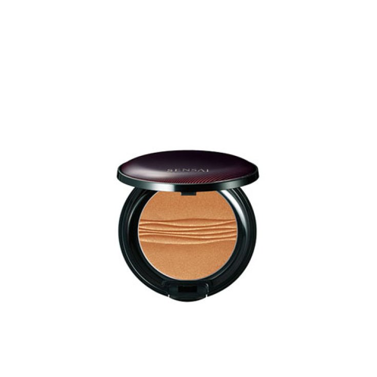 Kanebo Sensai Bronzing Powder Bp01