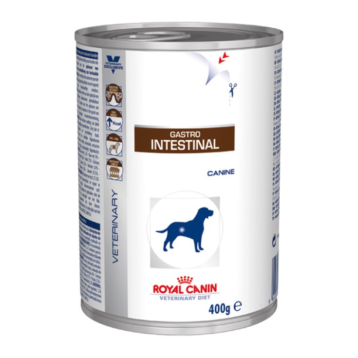 Veterinary Diet Gastro Intestinal - 400GR