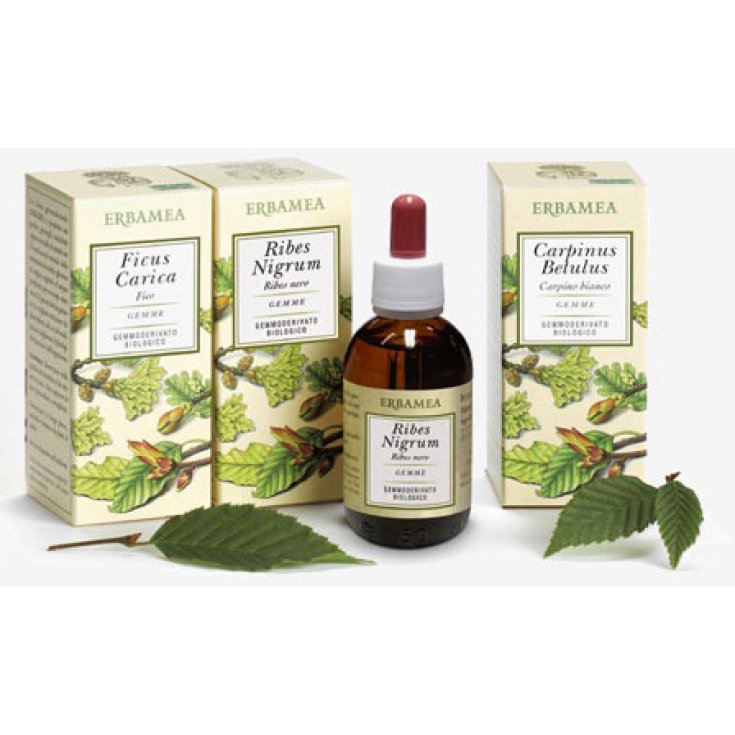 Tilia Tormentosa Gemme Gemmoderivati Senza Glutine 50ml